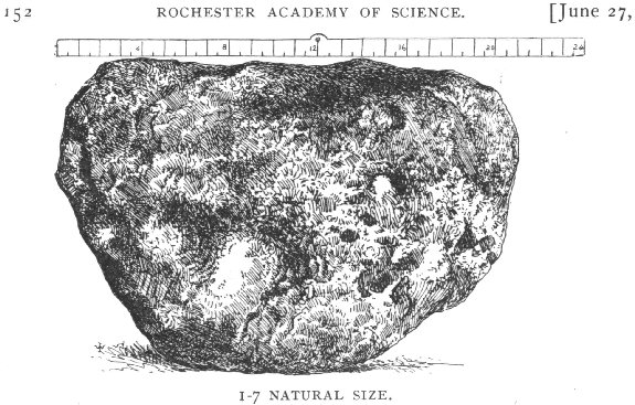 [Line drawing of the meteorite]